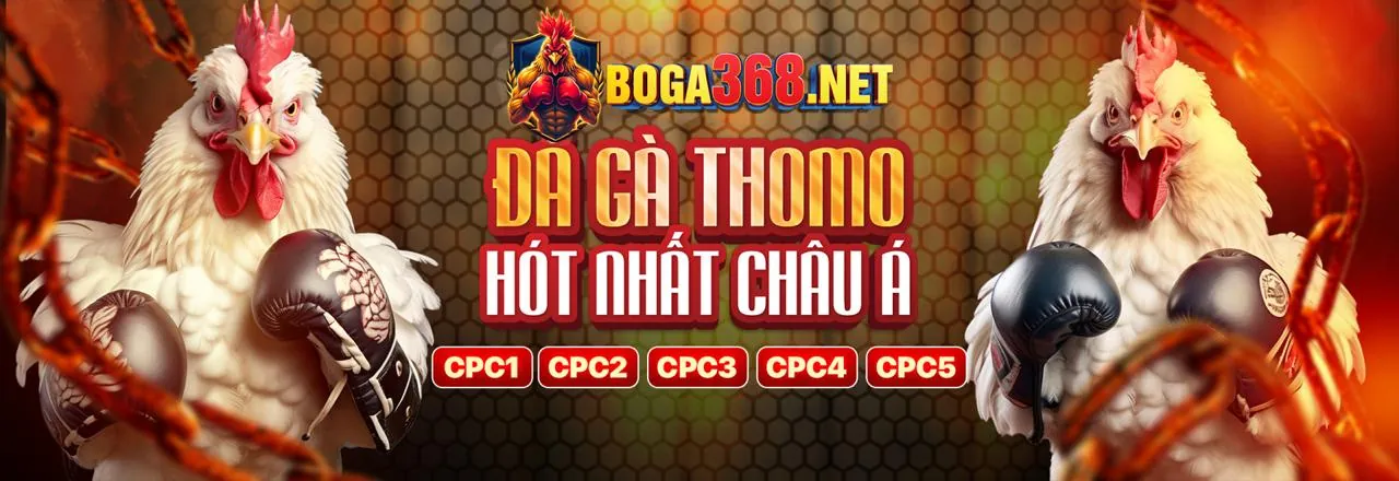 Sân vận động bóng đá với logo 09VIP, biểu tượng cá cược thể thao trực tuyến